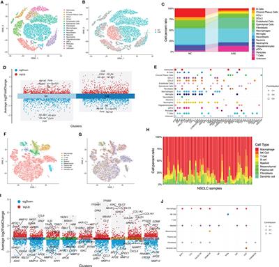 Identification of the shared gene signatures and molecular mechanisms between multiple sclerosis and non-small cell lung cancer